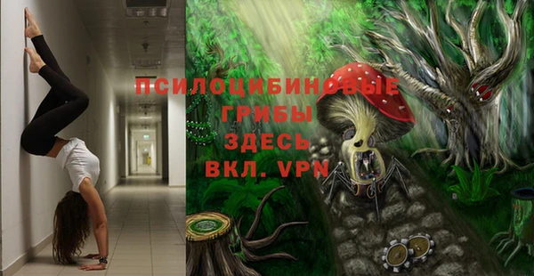 mdma Богородск