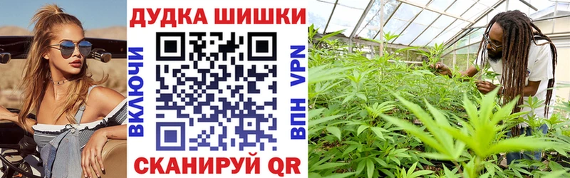 где купить наркотик  Нахабино  Конопля планчик 